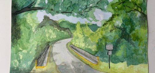 Bridge in the Rainforest watercolor