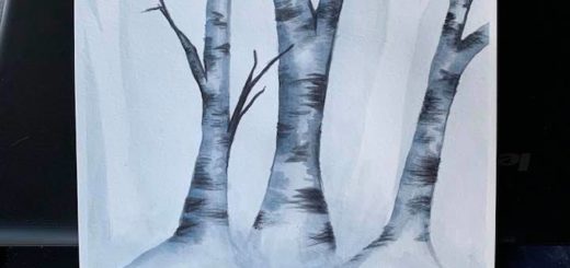 Birch trees
